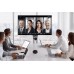 AV Access BizEye P30 + AnyCo A5 + B20 - Комплект для профессиональных видеоконференций